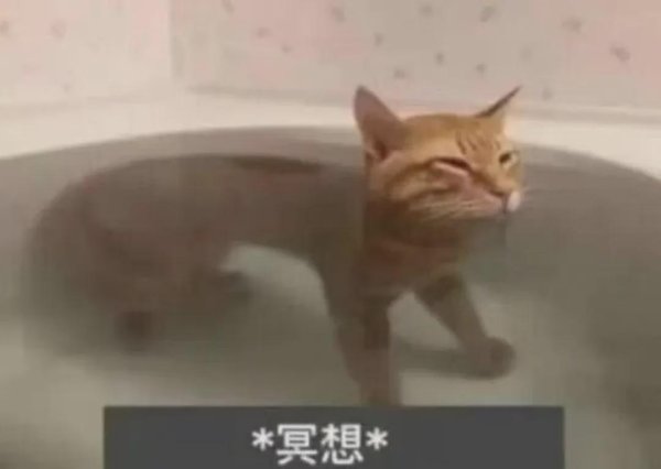 一点钱程 间歇性在关系中消失、变冷的星座，遇到先别断交！